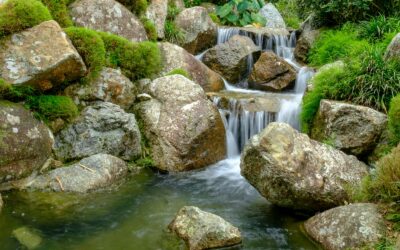 green moss on gray rocks beside river