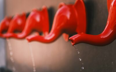 a row of red peppers hanging from a wall
